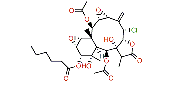 Briarenol L